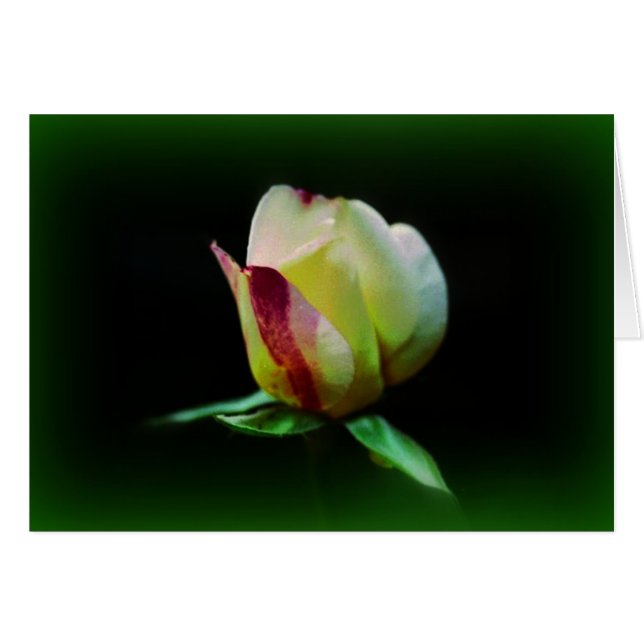 "Beca En El Camino" (Anverso (Horizontal))