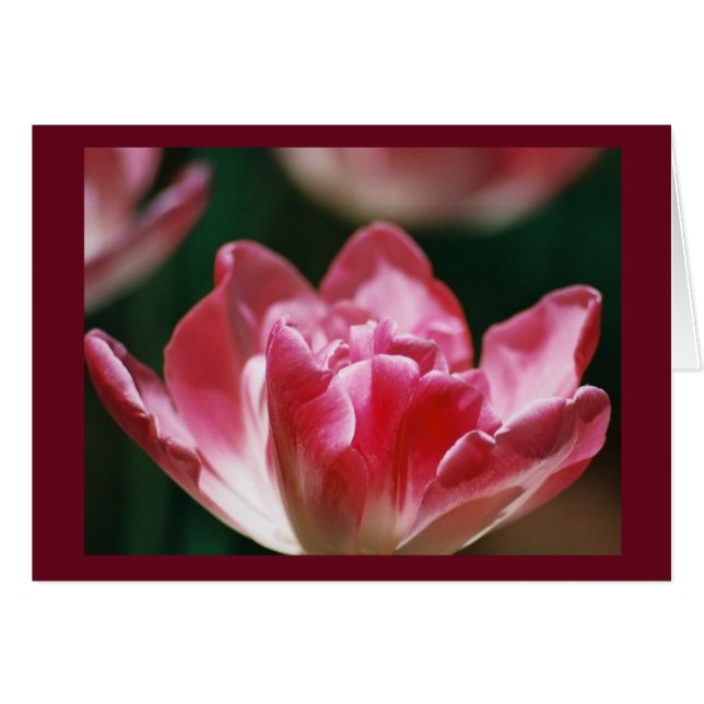 "Beca En El Camino" (Anverso (Horizontal))