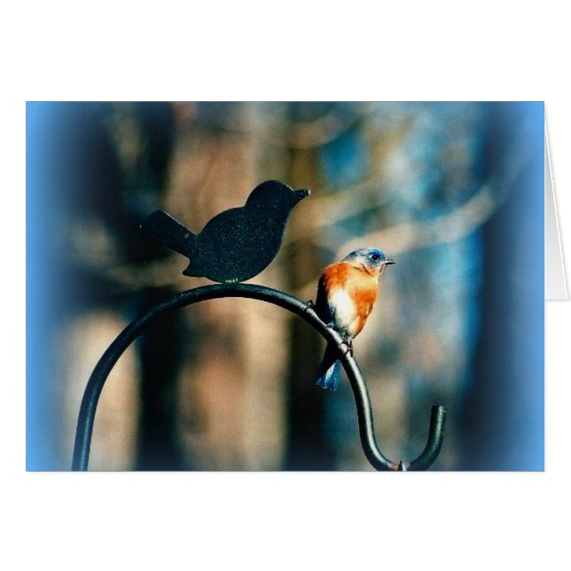 "Beca En El Camino" (Anverso (Horizontal))