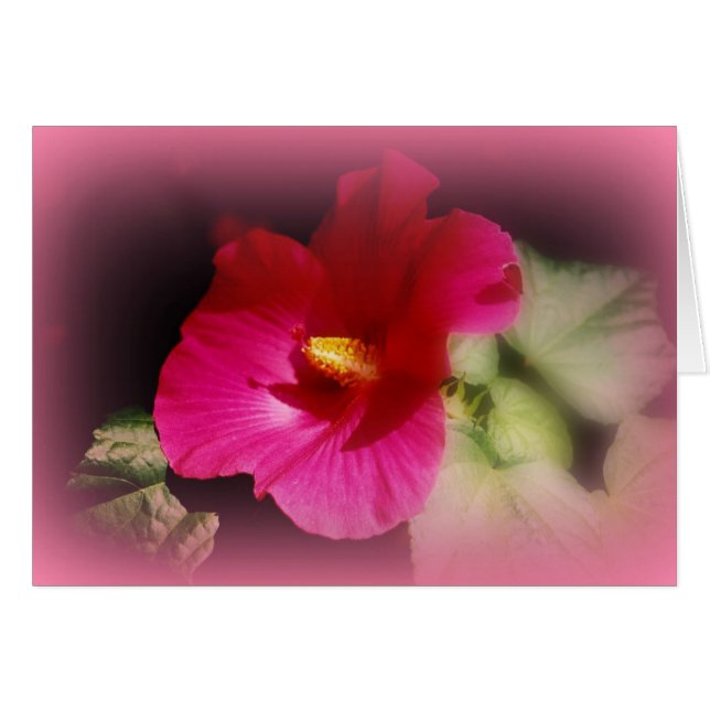 "Beca En El Camino" (Anverso (Horizontal))