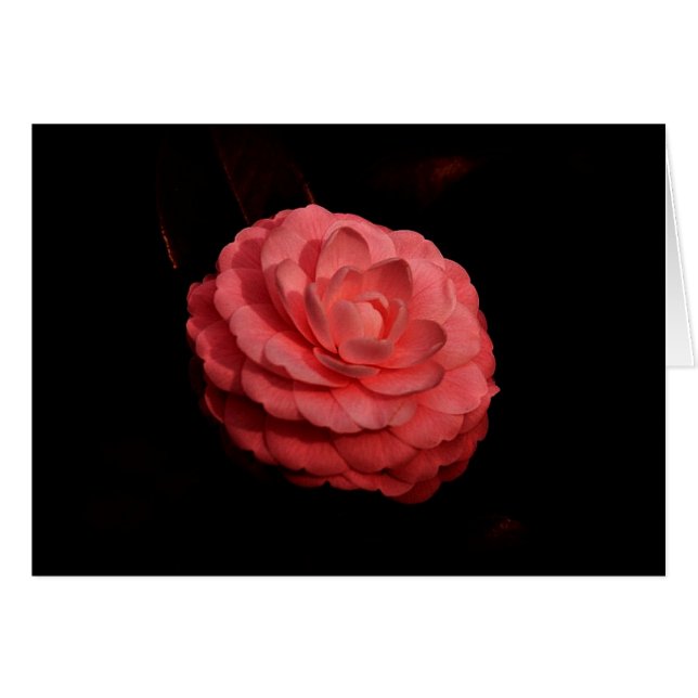 "Beca En El Camino" (Anverso (Horizontal))