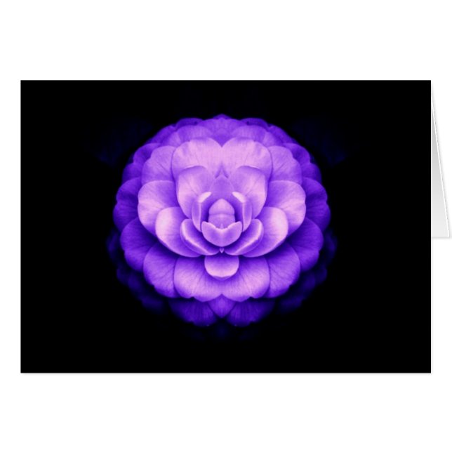 "Beca En El Camino" (Anverso (Horizontal))