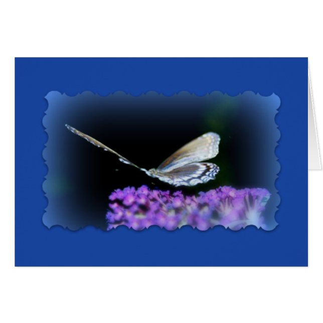 "Beca En El Camino" (Anverso (Horizontal))