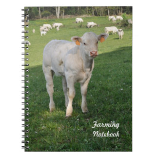 Becerro blanco que cultiva el cuaderno