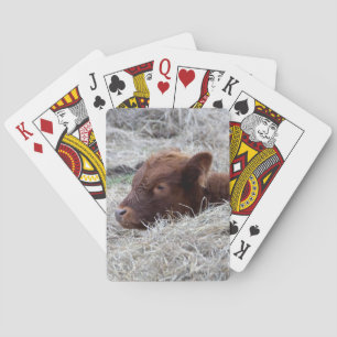 Becerro lindo del bebé, naipes del animal del
