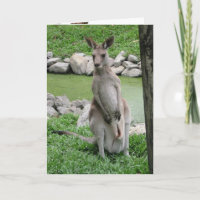 Beckons de Australia - Tarjeta de cumpleaños cangu