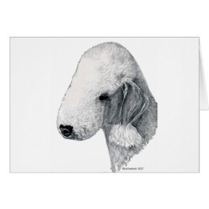 Bedlington Terrier
