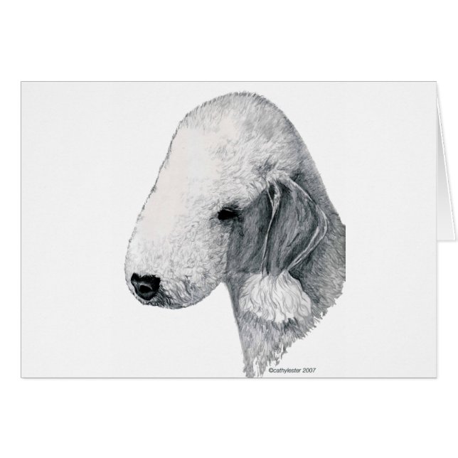 Bedlington Terrier (Anverso (Horizontal))