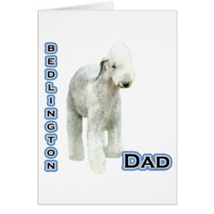 Bedlington Terrier Dad 4