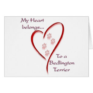 Bedlington Terrier Heart Pertenece