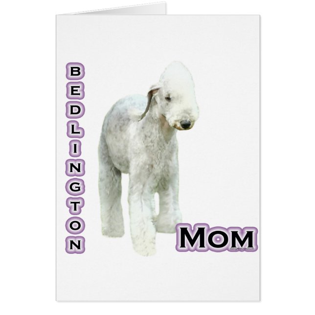 Bedlington Terrier Mom 4 (Frente)