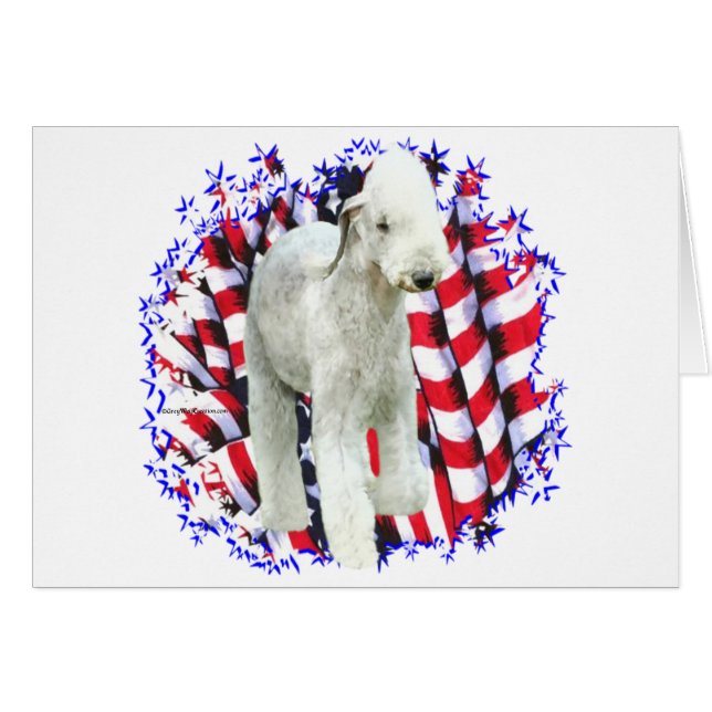 Bedlington Terrier Patriot (Anverso (Horizontal))