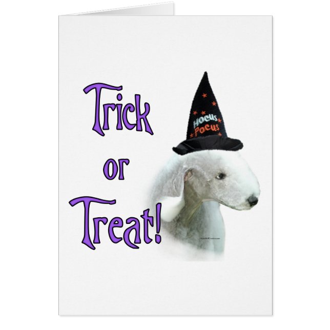 Bedlington Terrier Trick (Frente)