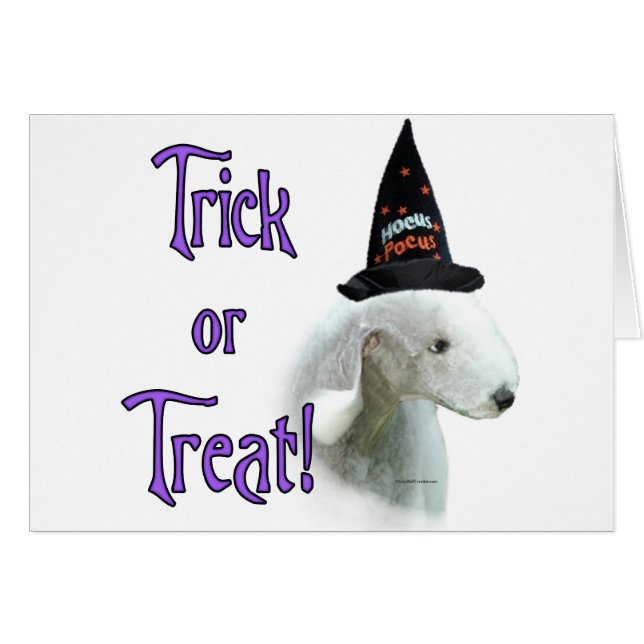 Bedlington Terrier Trick (Anverso (Horizontal))