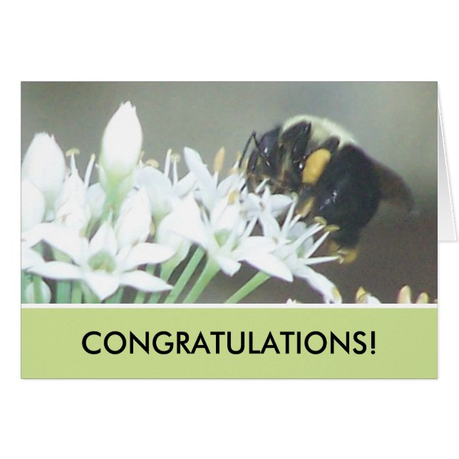 Bee (Anverso (Horizontal))