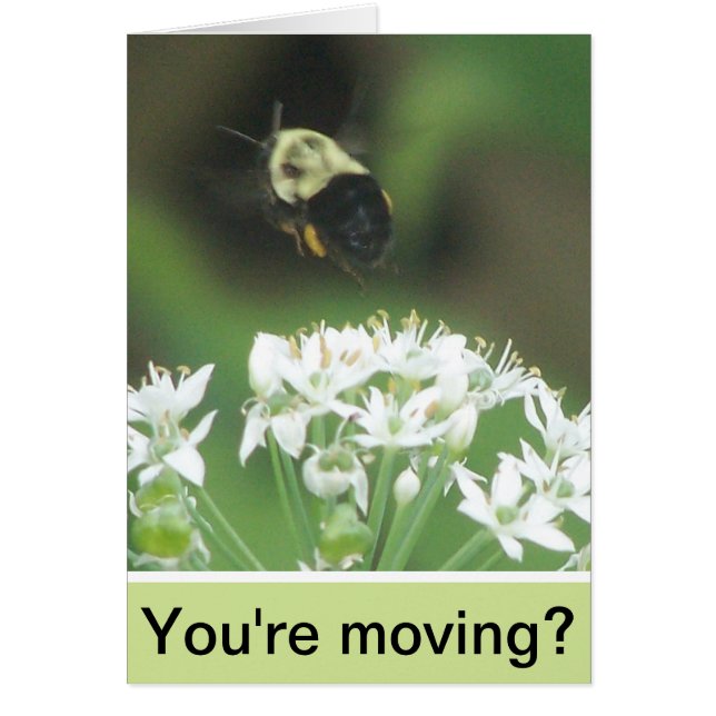 Bee Away (Frente)