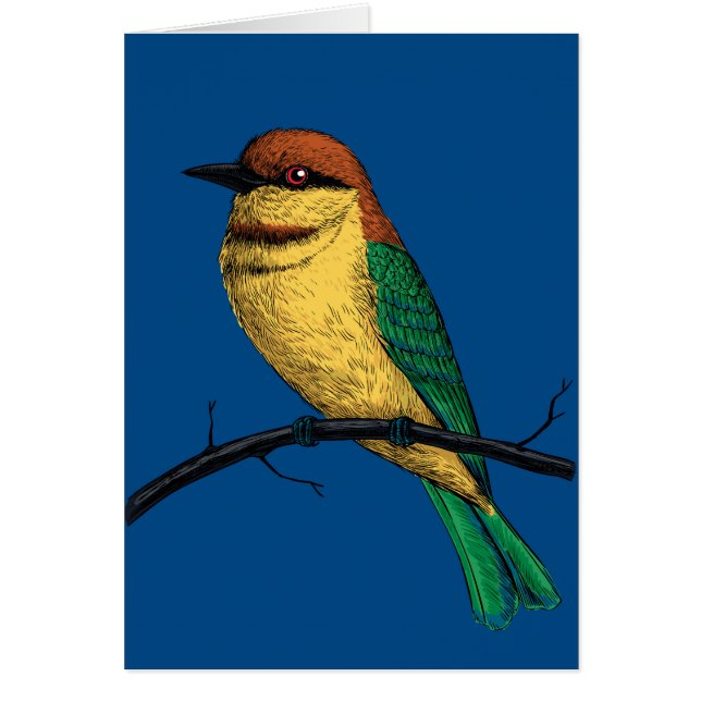 Bee eater (Frente)