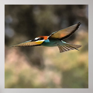 Bee Eater En Un Arte Realista De Vuelo