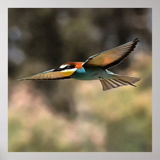 Bee Eater En Un Arte Realista De Vuelo