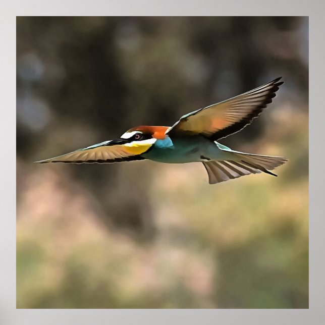 Bee Eater En Un Arte Realista De Vuelo (Frente)