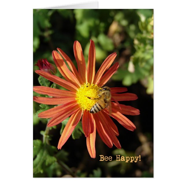 Bee Happy (Frente)