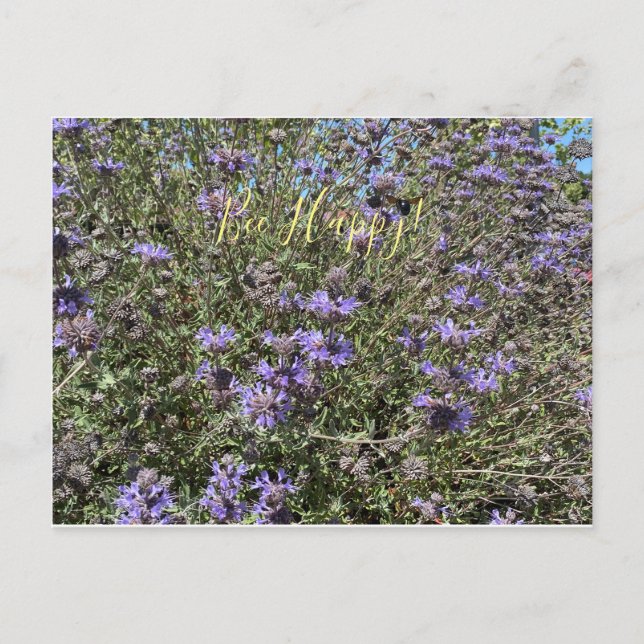 ¡Bee Happy! Postales de Cleveland Sage (Anverso)