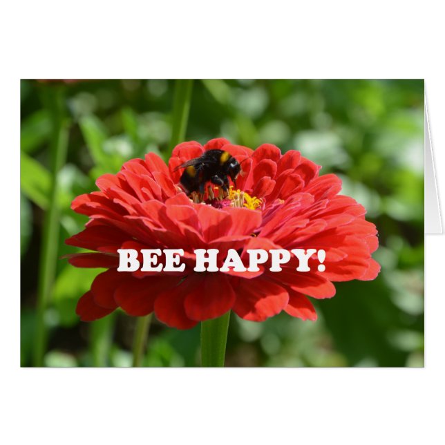 Bee Happy Red Flower (Anverso (Horizontal))