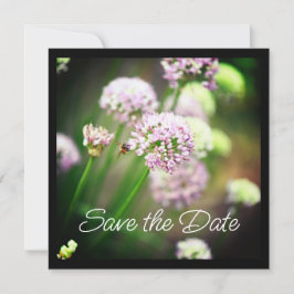 Bee Happy with Purple Diagonal Allium Flowers