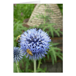 Bee-have