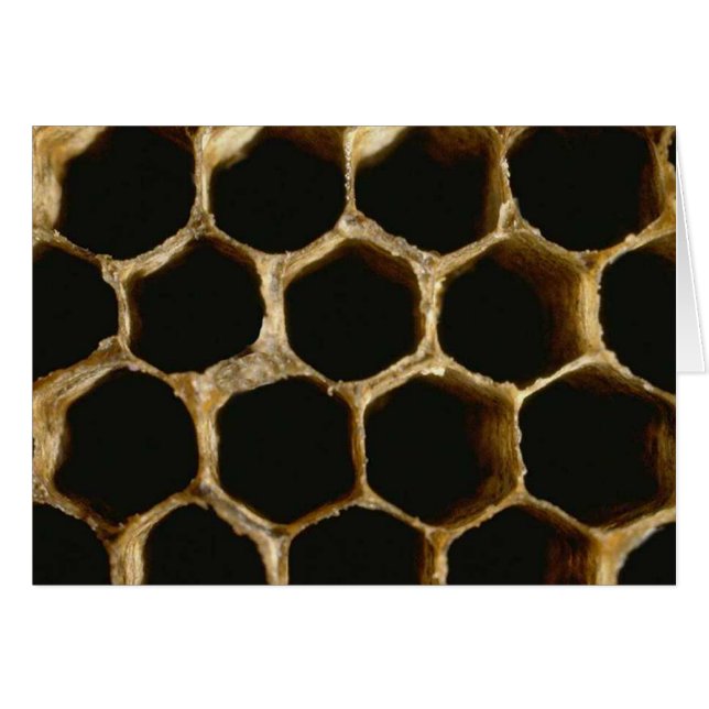 Bee Hive (Anverso (Horizontal))