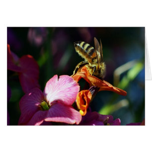 ¡Bee-ing Busy!