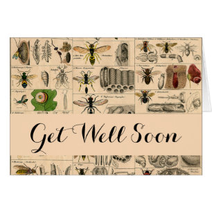 Bee Insect Bug Wasp Naturaleza Abejas Pintura