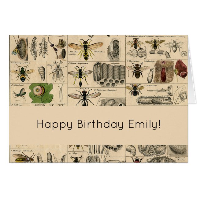 Bee Insect Bug Wasp Naturaleza Abejas Pintura (Anverso (Horizontal))