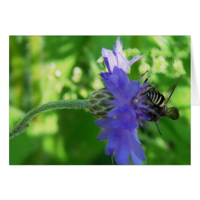 Bee on Button Flower All Occasions Greeting Card  (Anverso (Horizontal))