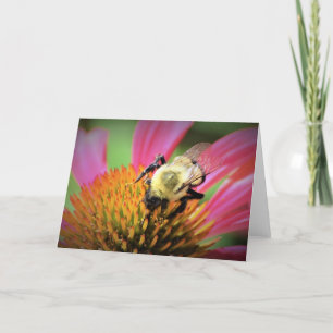 Bee on Coneflower, tarjeta