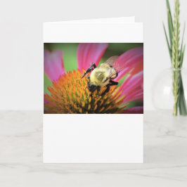 Bee on Coneflower, tarjeta