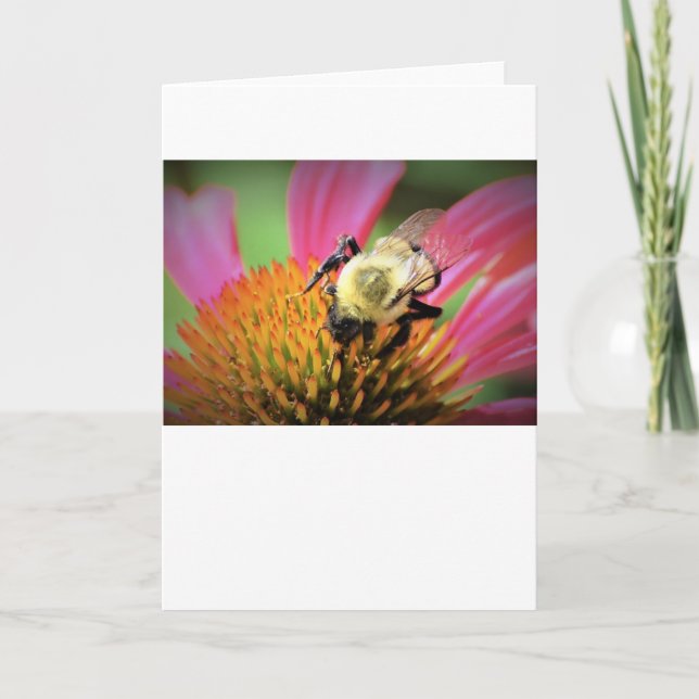Bee on Coneflower, tarjeta (Anverso)