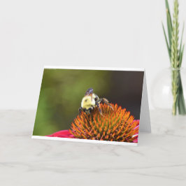 Bee on Coneflower, tarjeta