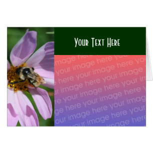 Bee On Cosmos Flower Nature Photo Card