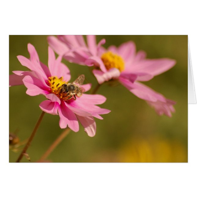 Bee on Flower (Anverso (Horizontal))