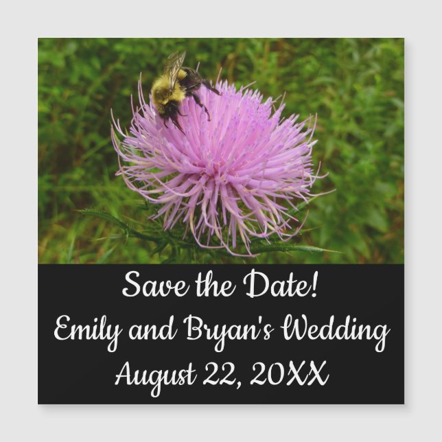 Bee on Thistle Flower Nature (Anverso)