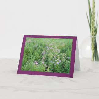 Beebalm en Prairie Garden Tarjeta de Nota en Blanc
