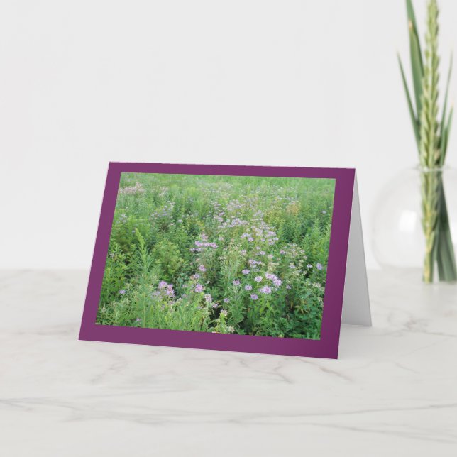 Beebalm en Prairie Garden Tarjeta de Nota en Blanc (Anverso)