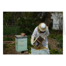 Beekeeper agrega abejas