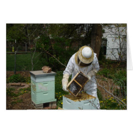 Beekeeper agrega abejas