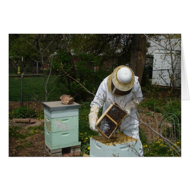 Beekeeper agrega abejas (Anverso (Horizontal))