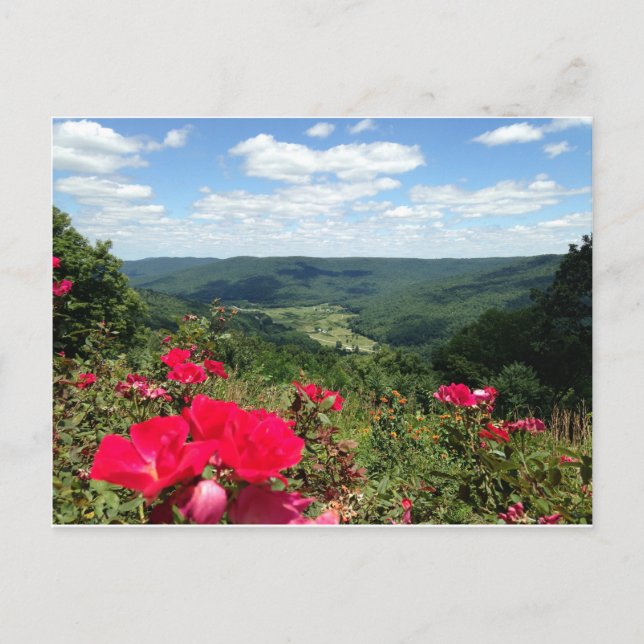 Beer Sheva salta postal (Anverso)