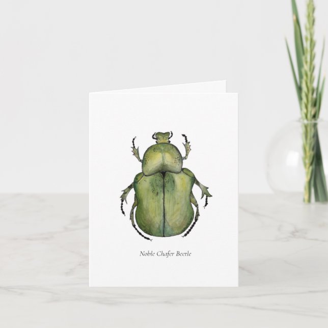Beetle Note Cards (Anverso)