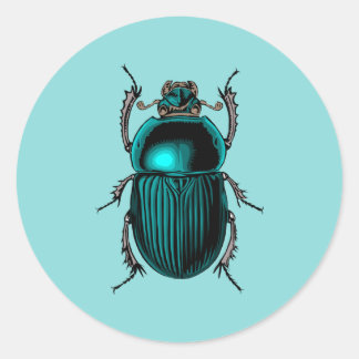 Beetle Scarab Pegatina