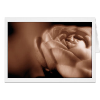 Begonia 2 de la sepia